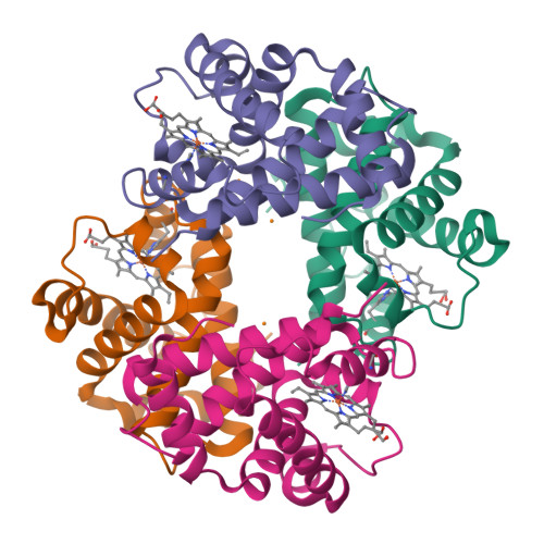 Molecular Structure: 3D構造の比較