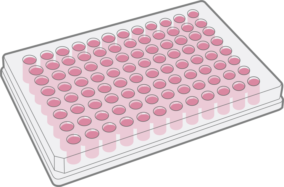 製薬・バイオR&D